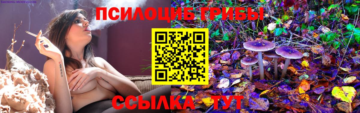 Псилоцибиновые грибы Psilocybine cubensis  Псилоцибиновые грибы Psilocybe  Вход с VPN  Кстово 